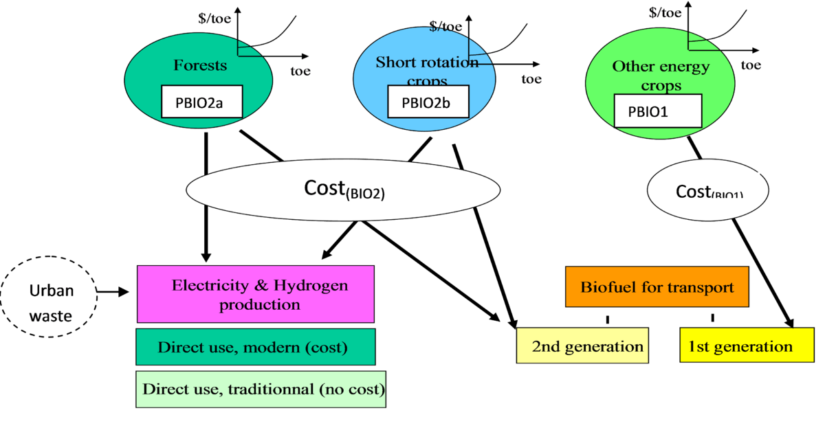 Bioenergy - POLES - IAMC-Documentation